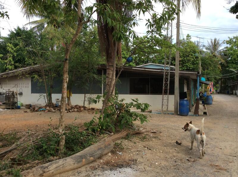 For Rent and For Sale, Phetchaburi, 97, Chong Sakae, Muang Phetchaburi, Phetchaburi, 10+ Bedrooms, 23,036 sqm, Single Detached House For Rent, by Khun Narisa Sansawad, 2283044 - DDproperty.com