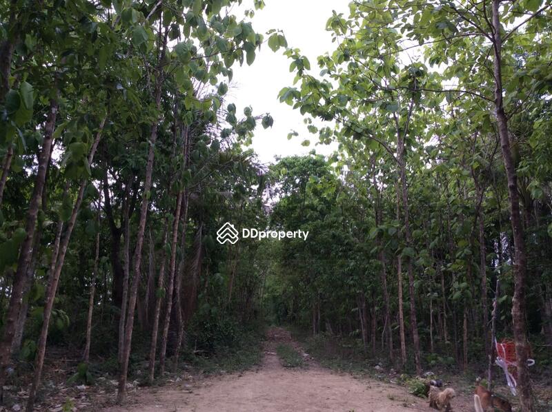 For Rent - บ้านเลขที่ 97, Phetchaburi