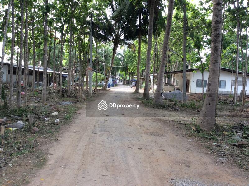 For Rent - บ้านเลขที่ 97, Phetchaburi