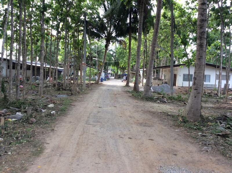 For Rent and For Sale, Phetchaburi, 97, Chong Sakae, Muang Phetchaburi, Phetchaburi, 10+ Bedrooms, 23,036 sqm, Single Detached House For Rent, by Khun Narisa Sansawad, 2283044 - DDproperty.com