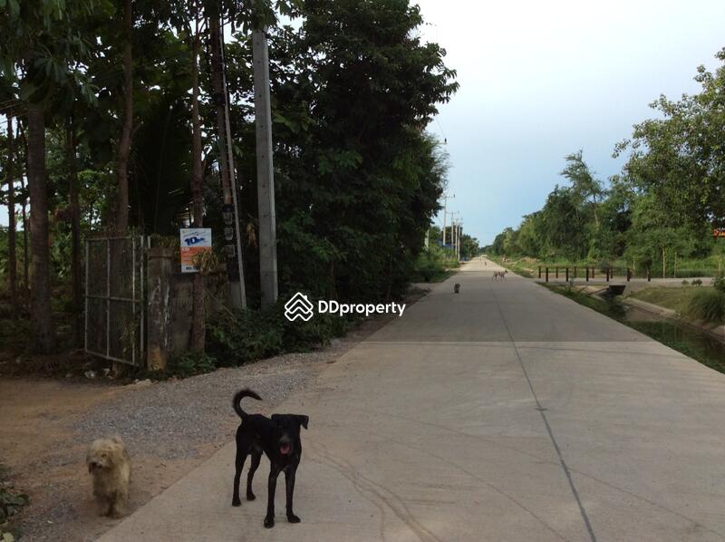 For Rent - บ้านเลขที่ 97, Phetchaburi