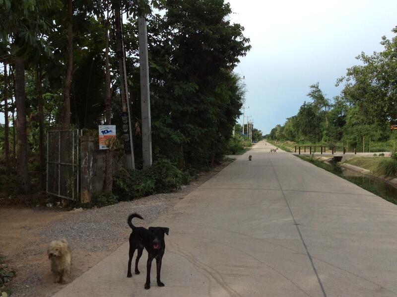 For Rent and For Sale, Phetchaburi, 97, Chong Sakae, Muang Phetchaburi, Phetchaburi, 10+ Bedrooms, 23,036 sqm, Single Detached House For Rent, by Khun Narisa Sansawad, 2283044 - DDproperty.com