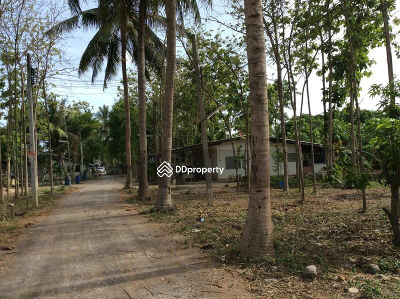 For Rent - บ้านเลขที่ 97, Phetchaburi
