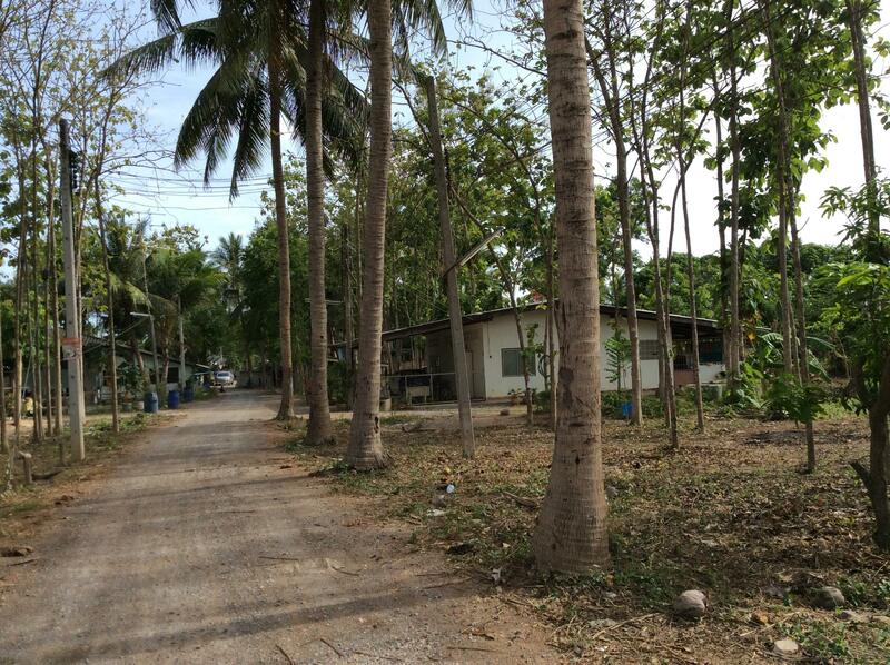 For Rent and For Sale, Phetchaburi, 97, Chong Sakae, Muang Phetchaburi, Phetchaburi, 10+ Bedrooms, 23,036 sqm, Single Detached House For Rent, by Khun Narisa Sansawad, 2283044 - DDproperty.com