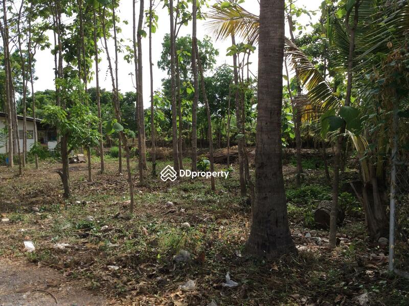 For Rent - บ้านเลขที่ 97, Phetchaburi