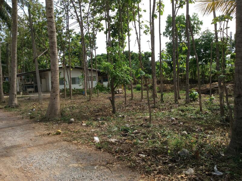 For Rent and For Sale, Phetchaburi, 97, Chong Sakae, Muang Phetchaburi, Phetchaburi, 10+ Bedrooms, 23,036 sqm, Single Detached House For Rent, by Khun Narisa Sansawad, 2283044 - DDproperty.com