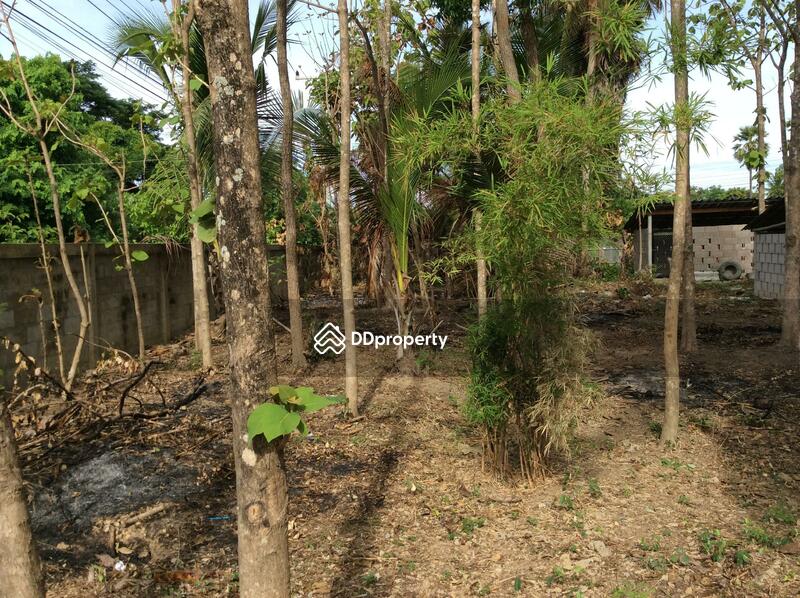 For Rent - บ้านเลขที่ 97, Phetchaburi
