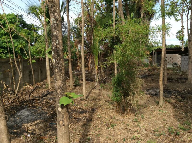 For Rent and For Sale, Phetchaburi, 97, Chong Sakae, Muang Phetchaburi, Phetchaburi, 10+ Bedrooms, 23,036 sqm, Single Detached House For Rent, by Khun Narisa Sansawad, 2283044 - DDproperty.com