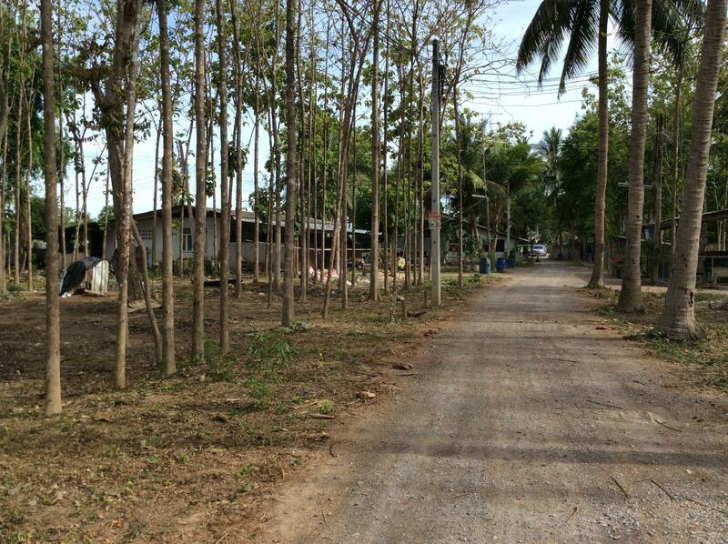 For Rent and For Sale, Phetchaburi, 97, Chong Sakae, Muang Phetchaburi, Phetchaburi, 10+ Bedrooms, 23,036 sqm, Single Detached House For Rent, by Khun Narisa Sansawad, 2283044 - DDproperty.com