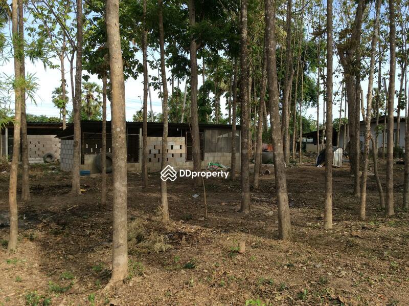 For Rent - บ้านเลขที่ 97, Phetchaburi