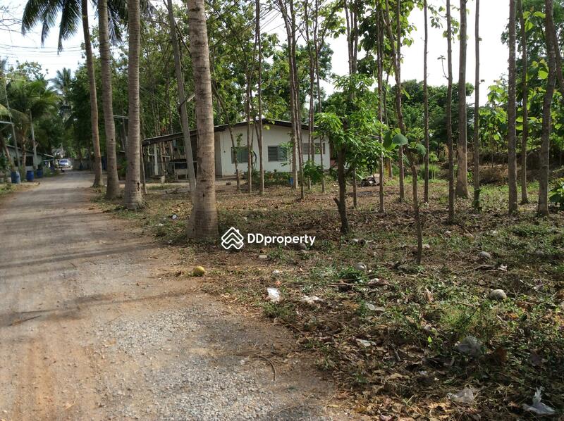 For Rent - บ้านเลขที่ 97, Phetchaburi