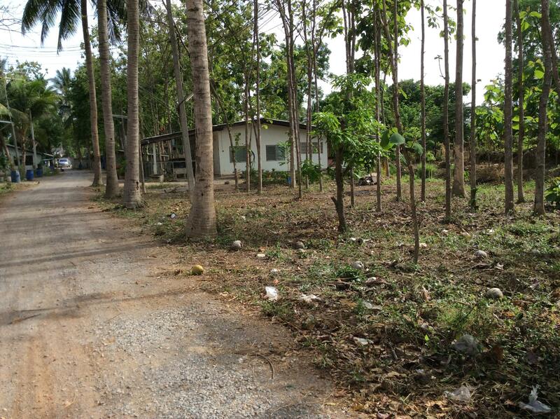 For Rent and For Sale, Phetchaburi, 97, Chong Sakae, Muang Phetchaburi, Phetchaburi, 10+ Bedrooms, 23,036 sqm, Single Detached House For Rent, by Khun Narisa Sansawad, 2283044 - DDproperty.com