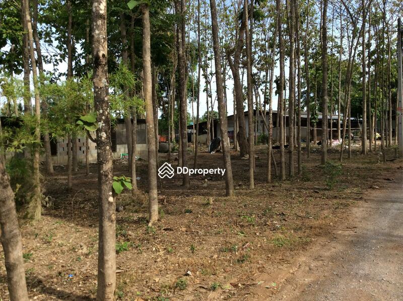 For Rent - บ้านเลขที่ 97, Phetchaburi