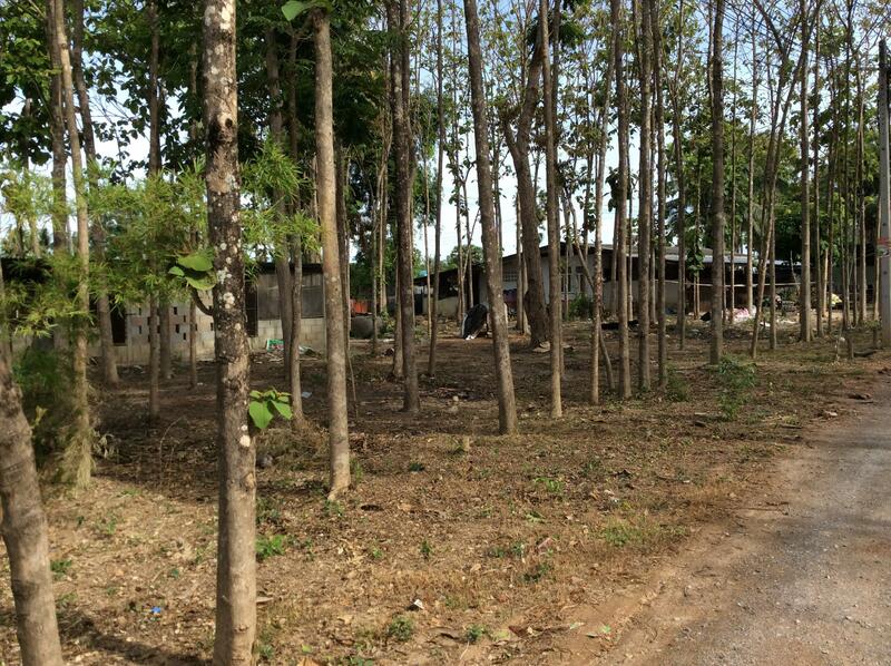 For Rent and For Sale, Phetchaburi, 97, Chong Sakae, Muang Phetchaburi, Phetchaburi, 10+ Bedrooms, 23,036 sqm, Single Detached House For Rent, by Khun Narisa Sansawad, 2283044 - DDproperty.com