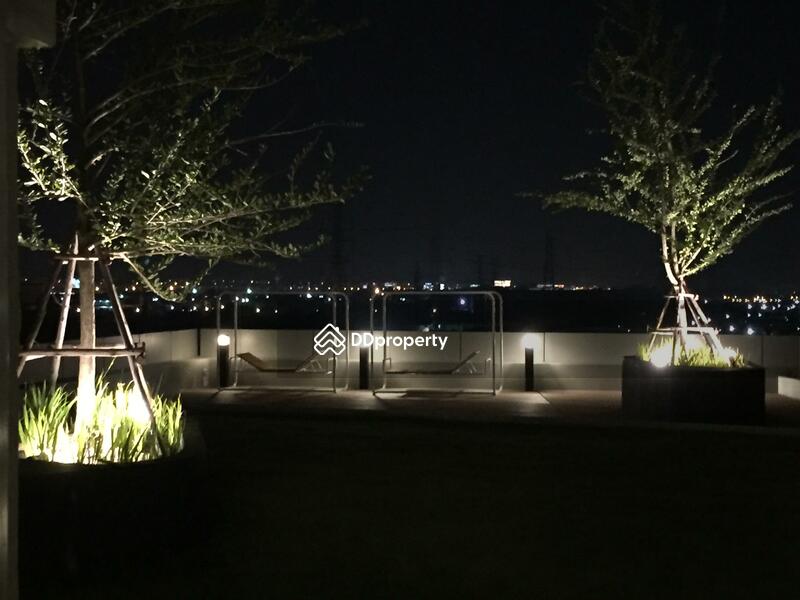 5th Floor Garden Night Time View