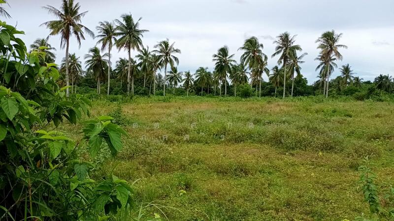 ที่ดิน 44 ไร่ ติดชายทะเล ปะทิว ใกล้สนามบินชุมพร, Chumphon, Chum Kho, Pathiu, Chumphon, , 71,280 sqm, Land For Sale, by กิตติศักดิ์ ภคศิริ, 2341238 - DDproperty.com