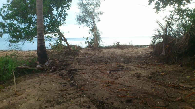 ที่ดิน 44 ไร่ ติดชายทะเล ปะทิว ใกล้สนามบินชุมพร, Chumphon, Chum Kho, Pathiu, Chumphon, , 71,280 sqm, Land For Sale, by กิตติศักดิ์ ภคศิริ, 2341238 - DDproperty.com