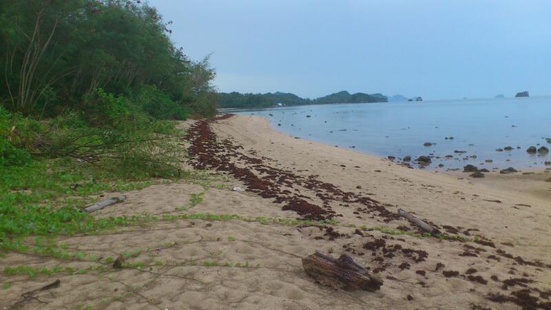 ที่ดิน 44 ไร่ ติดชายทะเล ปะทิว ใกล้สนามบินชุมพร, Chumphon, Chum Kho, Pathiu, Chumphon, , 71,280 sqm, Land For Sale, by กิตติศักดิ์ ภคศิริ, 2341238 - DDproperty.com