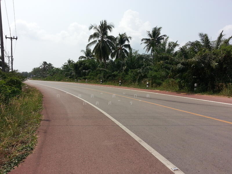 ที่ดิน 44 ไร่ ติดชายทะเล ปะทิว ใกล้สนามบินชุมพร, Chumphon, Chum Kho, Pathiu, Chumphon, , 71,280 sqm, Land For Sale, by กิตติศักดิ์ ภคศิริ, 2341238 - DDproperty.com