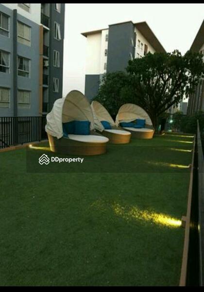 ให้เช่า - Plum Condo Bangyai Station : พลัม คอนโด บางใหญ่ สเตชั่น, นนทบุรี