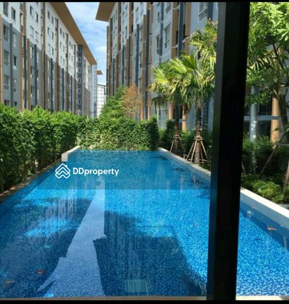ให้เช่า - Plum Condo Bangyai Station : พลัม คอนโด บางใหญ่ สเตชั่น, นนทบุรี
