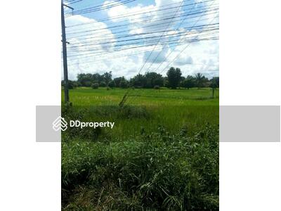 ขาย - ที่ดินอุบลทำเลดี อ.วารินชำราบติดถนนเลี่ยงเมืองอุบลสาย231 ข้างอู่อุบลเจริญยนต์ห่างจากห้างเซ็นทรัลอุบล, อุบลราชธานี