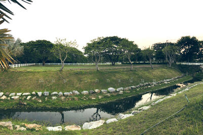 ขาย - ภูริธารา, นครราชสีมา
