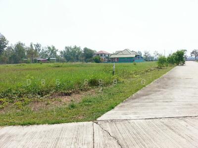 ขาย - ขายที่ิดิน เวลเนสซิตี้ บางไทร อยุธยา ศูนย์ ธรรมชาติ บำบัด พักวัย เกษียณ ใกล้หมอ บุญชัย, พระนครศรีอยุธยา