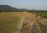 ขายที่ดินต.วังไทร อ.ปากช่อง 1ไร่ 276ตร.ว.ใกล้รีสอร์ทบ้านนอกคอกนา ราคาไร่ละ 2,200,000บาท - DDproperty.com