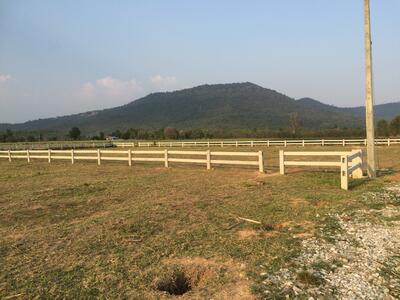 ขาย - ที่ดินวังไทร, นครราชสีมา