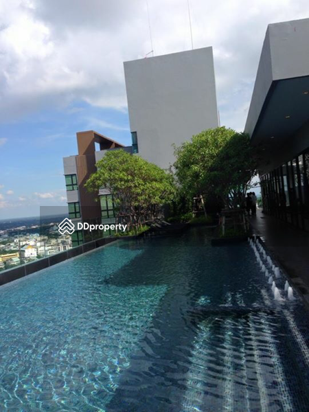 The Base Height Mittraphap-Khon Kaen : เดอะ เบส ไฮท์ มิตรภาพ - ขอนแก่น, ขอนแก่น, 333 ถ. มิตรภาพ, ในเมือง, เมืองขอนแก่น, ขอนแก่น, 31 ตร.ม., คอนโด ให้เช่า, โดย chanwit chokbundit, 2658050 - สระว่ายน้ำชั้น 35 วิวสวยสุด - DDproperty.com