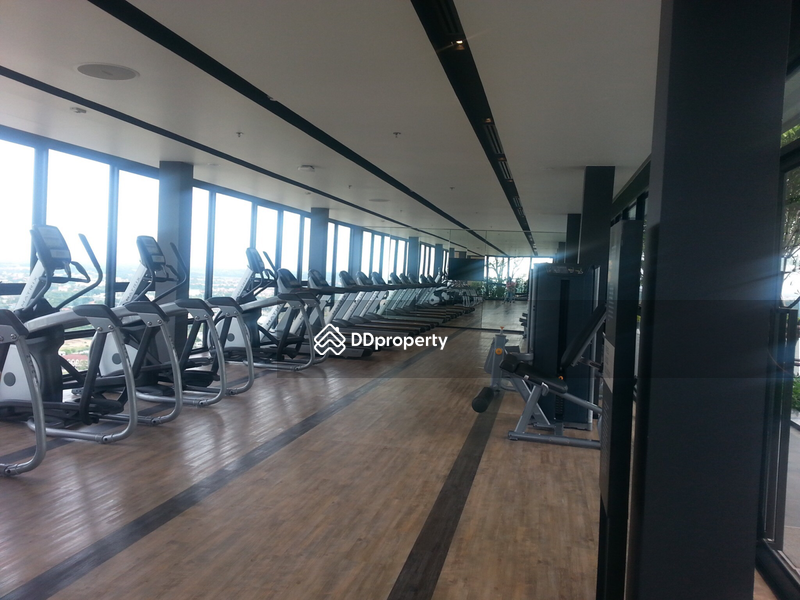 The Base Height Mittraphap-Khon Kaen : เดอะ เบส ไฮท์ มิตรภาพ - ขอนแก่น, ขอนแก่น, 333 ถ. มิตรภาพ, ในเมือง, เมืองขอนแก่น, ขอนแก่น, 31 ตร.ม., คอนโด ให้เช่า, โดย chanwit chokbundit, 2658050 - DDproperty.com