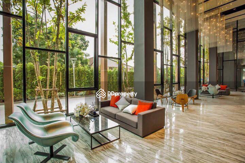 The Base Height Mittraphap-Khon Kaen : เดอะ เบส ไฮท์ มิตรภาพ - ขอนแก่น, ขอนแก่น, 333 ถ. มิตรภาพ, ในเมือง, เมืองขอนแก่น, ขอนแก่น, 31 ตร.ม., คอนโด ให้เช่า, โดย chanwit chokbundit, 2658050 - DDproperty.com