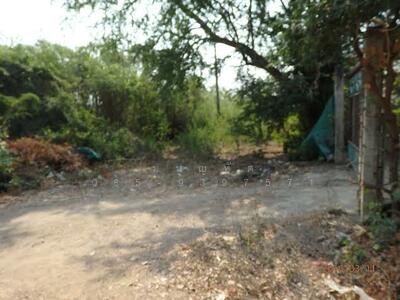 ขาย - ที่ดินดาวเรือง สวย ราคาพิเศษ 1 ไร่ 2 งาน 82 ตารางวา ดาวเรือง สระบุรี, สระบุรี