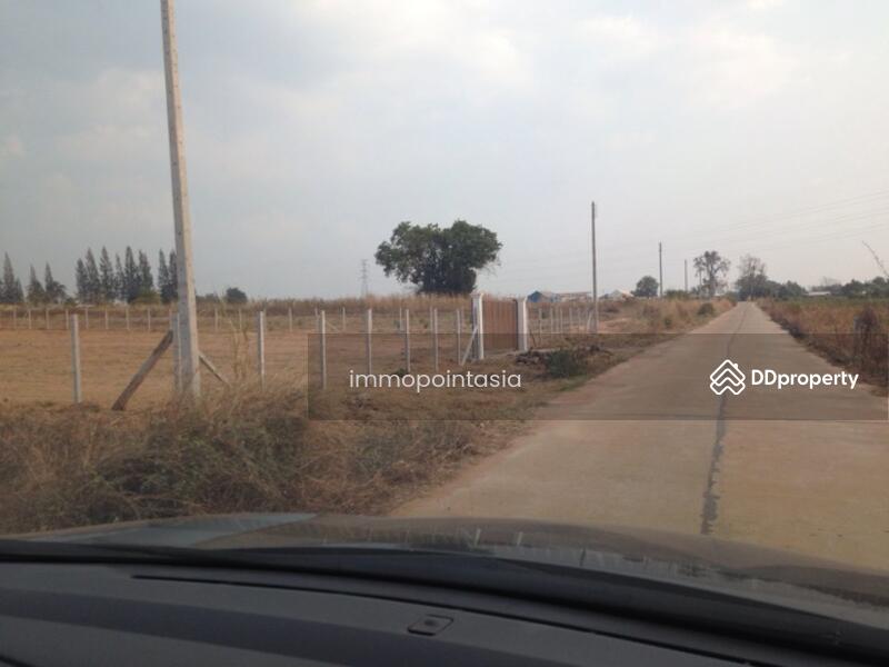 ขาย - ขายทีดิน เส้น มทส.ประตู2 พร้อม ถนนคอนกรีต น้ำ ไฟ, นครราชสีมา