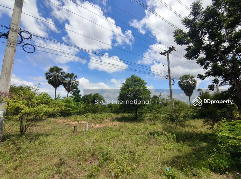 For Sale - Land Kanchanaburi For Sale : Boploy 42-1-88 rai, Nice Land., Kanchanaburi