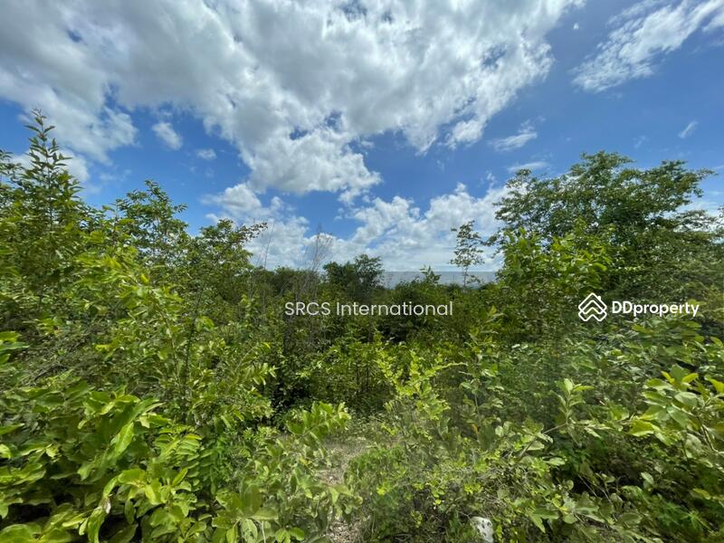 For Sale - Land Kanchanaburi For Sale : Boploy 42-1-88 rai, Nice Land., Kanchanaburi
