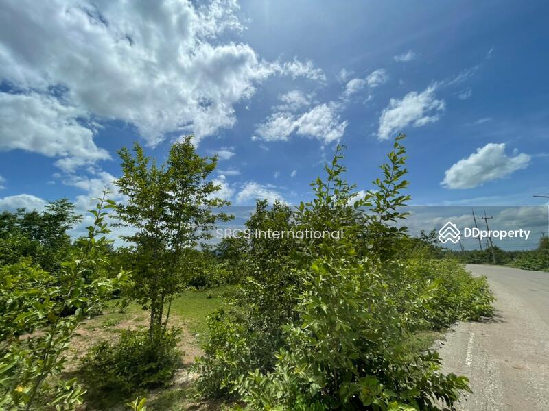 For Sale - Land Kanchanaburi For Sale : Boploy 42-1-88 rai, Nice Land., Kanchanaburi