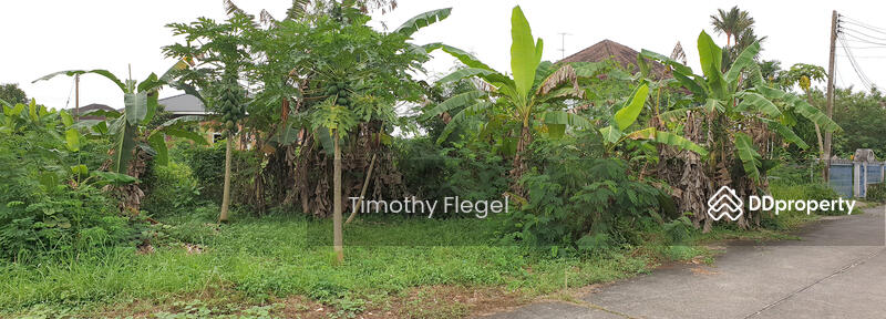 View from 15 m front of plot 548 