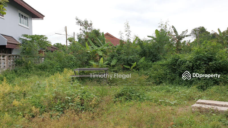 View from back of plot 548