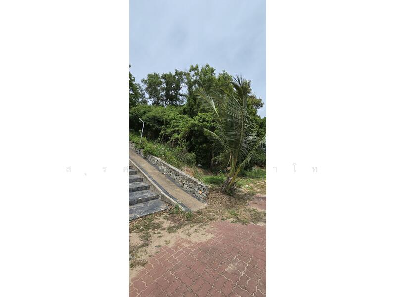 ที่ดินหาดบ้านอำเภอ ซ.นาจอมเทียน34 หน้าติดถนนสุขุมวิทหลังติดทะเล 10-2-54ไร่ ขายด่วน 76ล้านบาทต่อไร่, ชลบุรี, นาจอมเทียน 34 สุขุมวิท, นาจอมเทียน, สัตหีบ, ชลบุรี, 17,016 ตร.ม., ที่ดิน ขาย, โดย สุรศักดิ์ สาโท, 2964353 - DDproperty.com