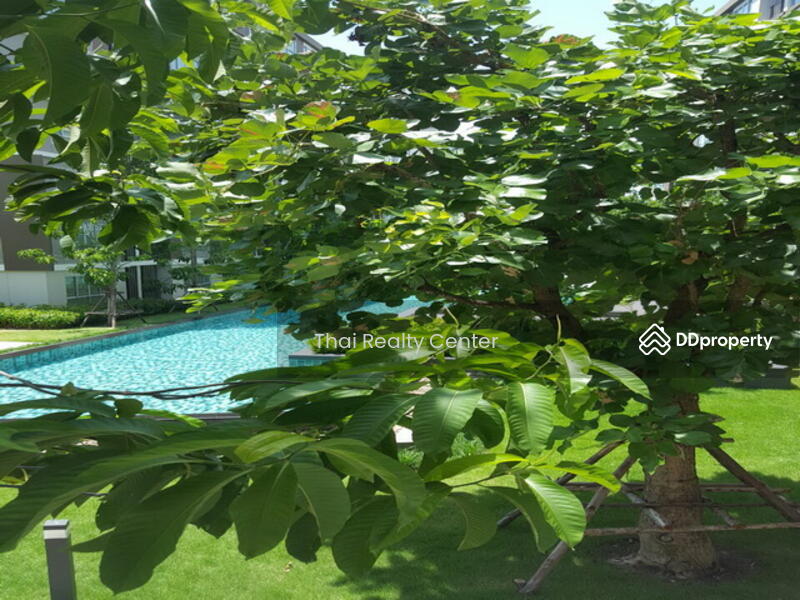 ให้เช่า - Dcondo Campus Dome-Rangsit : ดีคอนโด แคมปัส โดม-รังสิต, ปทุมธานี