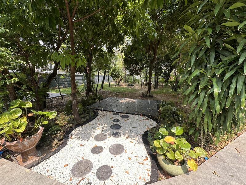 House for rent , Preedee14 ,สุขุมวิท71 , Living , Office , Cafe/Restaurant Rent 150,000 ฿/m., Bangkok, สุขุมวิท71, Phra Kanong Nua, Watthana, Bangkok, 4 Bedrooms, 650 sqm, Single Detached House For Rent, by คัทยวรรณ หิรัญจิโรจน์, 3189599 - DDproperty.com