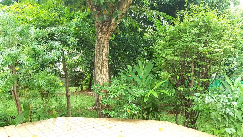 House for rent , Preedee14 ,สุขุมวิท71 , Living , Office , Cafe/Restaurant Rent 150,000 ฿/m., Bangkok, สุขุมวิท71, Phra Kanong Nua, Watthana, Bangkok, 4 Bedrooms, 650 sqm, Single Detached House For Rent, by คัทยวรรณ หิรัญจิโรจน์, 3189599 - DDproperty.com