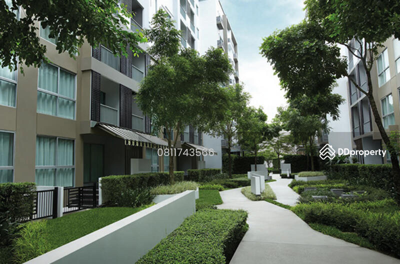 ขาย - A Space Sukhumvit 77 : เอ สเปซ สุขุมวิท77, กรุงเทพ