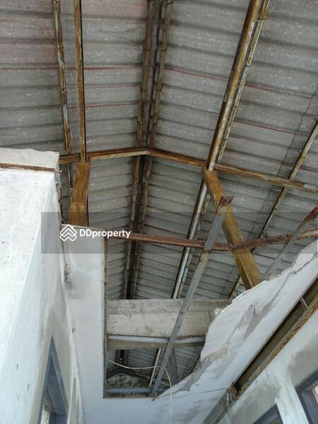 คอนโด บางปู, สมุทรปราการ, 1 สุขุมวิท, บางปู, เมืองสมุทรปราการ, สมุทรปราการ, 5,953 ตร.ม., อพาร์ทเมนท์ ขาย, โดย ศรุดา นวกิตติภัทร์ (คุณกุง), 3320867 - DDproperty.com