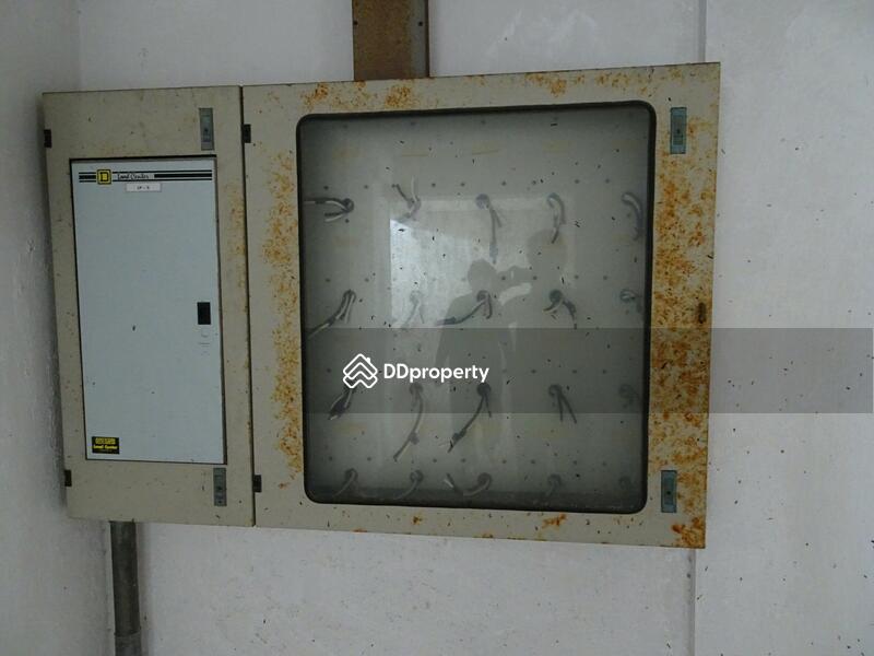 คอนโด บางปู, สมุทรปราการ, 1 สุขุมวิท, บางปู, เมืองสมุทรปราการ, สมุทรปราการ, 5,953 ตร.ม., อพาร์ทเมนท์ ขาย, โดย ศรุดา นวกิตติภัทร์ (คุณกุง), 3320867 - DDproperty.com