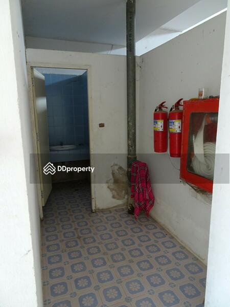 คอนโด บางปู, Samut Prakan, 1 สุขุมวิท, Bang Pu, Muang Samut Prakarn, Samut Prakan, 10+ Bedrooms, 5,953 sqm, Apartment For Sale, by ศรุดา นวกิตติภัทร์ (คุณกุง), 3320867 - DDproperty.com