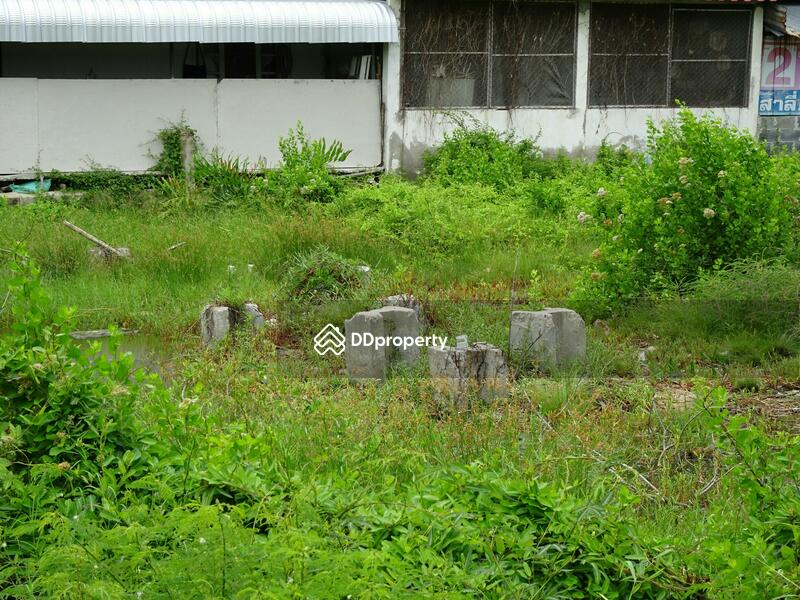 คอนโด บางปู, สมุทรปราการ, 1 สุขุมวิท, บางปู, เมืองสมุทรปราการ, สมุทรปราการ, 5,953 ตร.ม., อพาร์ทเมนท์ ขาย, โดย ศรุดา นวกิตติภัทร์ (คุณกุง), 3320867 - DDproperty.com