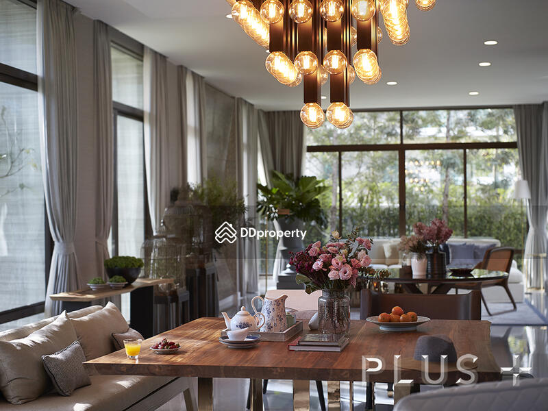 For Sale - โป่งแยง ฟแวงก์, Chiang Mai